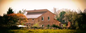 naturholzhaus-bau-und-errichtung-zimmerei-burmesterei