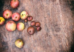 zimmerei-burmester-faq