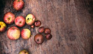 zimmerer-burmester-zimmerei-faq